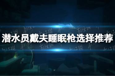 《潜水员戴夫》睡眠枪选择推荐 睡眠枪哪个好？