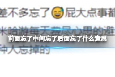 前面忘了中间忘了后面也忘了梗 前面忘了中间忘了后面也忘了原神