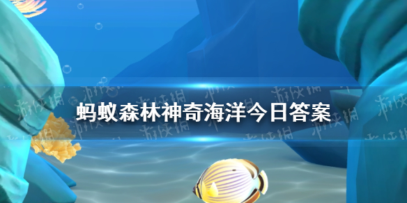 神奇海洋7月7日答案 考考你叶海龙是植物还是动物