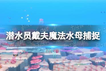 《潜水员戴夫》魔法水母怎么抓？ 魔法水母捕捉攻略