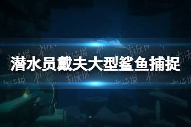 《潜水员戴夫》大型鲨鱼怎么抓？ 大型鲨鱼捕捉方法