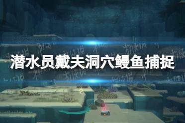 《潜水员戴夫》洞穴鳗鱼怎么捕捉？ 洞穴鳗鱼捕捉方法