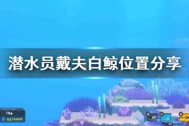 《潜水员戴夫》白鲸位置分享   白鲸在哪？