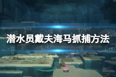 《潜水员戴夫》海马怎么捉？ 海马抓捕方法