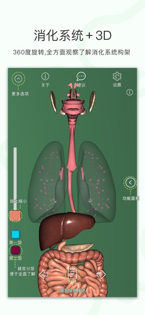 呼吸消化－3D