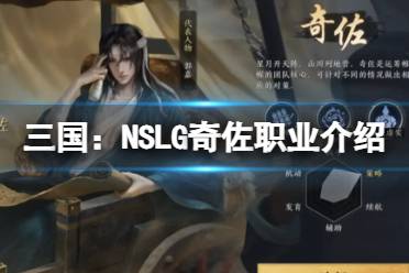 《三国：NSLG》奇佐职业介绍 六大职业介绍