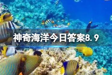 流线型身体形状有什么生物学意义 神奇海洋答案8.9