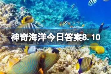 海水中矿物质最丰富的是什么 支付宝神奇海洋答案8.10