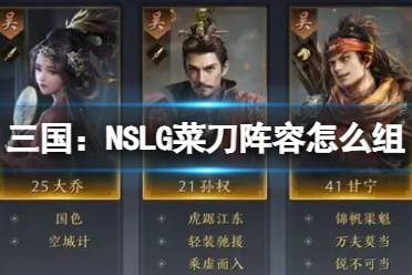 《三国：NSLG》菜刀阵容怎么组 常规菜刀阵容攻略