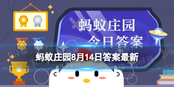 年过八旬”的“旬”指的是十年还是八年 8.14蚂蚁庄园最新答案