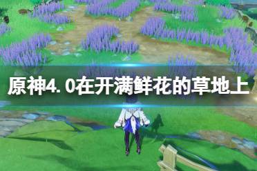 《原神》4.0在开满鲜花的草地上任务流程