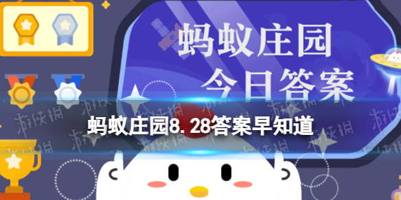 方便面吃下去后32小时内无法消化，这是真的吗 蚂蚁庄园8.28答案早知道