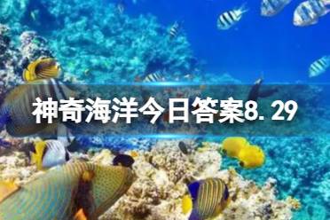 神奇海洋8.29贝壳生物答案 贝壳类生物是通过鳃呼吸的还是皮肤呼吸