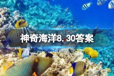 神奇海洋今日答案8.30 海马的骨骼结构与大多数鱼类有何不同