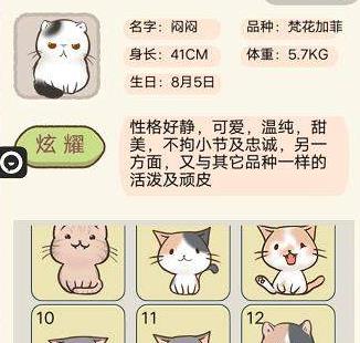 我要猫咪11-15级猫咪图鉴大全[多图]