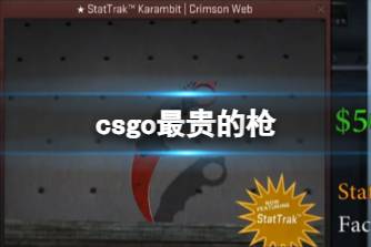 《csgo》最贵的枪一览