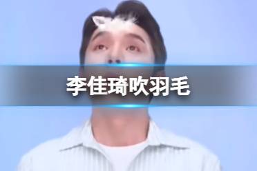 李佳琦吹羽毛 李佳琦吹羽毛二创