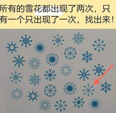 烧脑最囧挑战第一关答案攻略 只有一个雪花出现了一次找出来[多图]