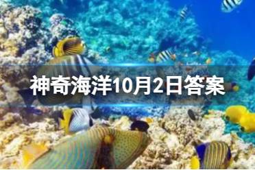 什么螃蟹长相酷似巨型蜘蛛 神奇海洋10月2日答案最新