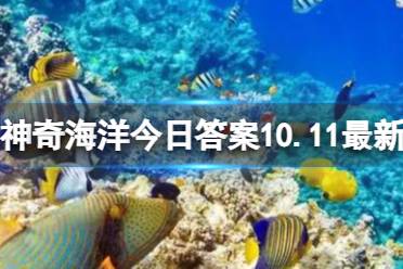 神奇海洋今日答案10.11最新 猜一猜海洋中的海牛和陆地上的牛有什么相似点