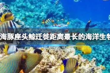 海豚座头鲸迁徙距离最长的海洋生物 神奇海洋答案10.12最新