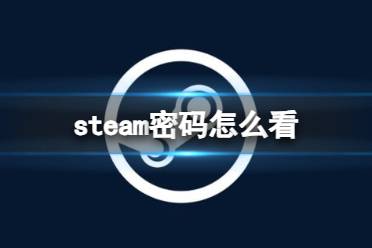 《steam》密码查看方法