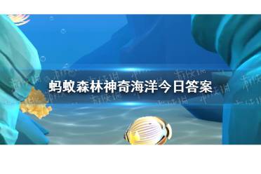 羽毛不能沾水的海鸟是海雀还是军舰鸟 蚂蚁森林神奇海洋今日答案10.20最新