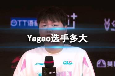 《英雄联盟》Yagao选手年龄介绍