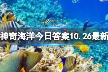 神奇海洋今日答案10.26 白鲸的头部圆形的凸起作用是什么