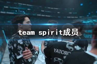 《DOTA2》team spirit成员介绍