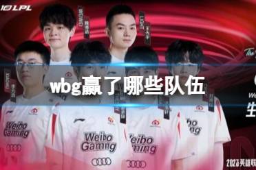 《lol》s13全球总决赛wbg获胜队伍介绍