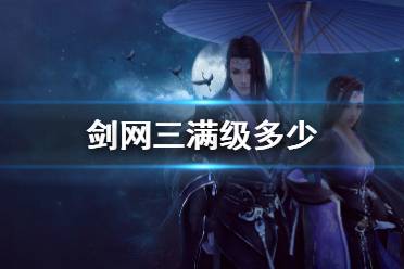 《剑网3》满级介绍