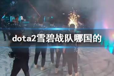 《dota2》雪碧战队国家说明