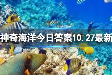 神奇海洋海贝 11.1神奇海洋答案