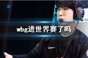 《lol》wbg世界赛介绍