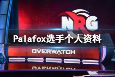 《英雄联盟》Palafox选手个人资料一览