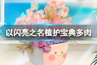 《以闪亮之名》植护宝典多肉 五星限定饰品等你来拿