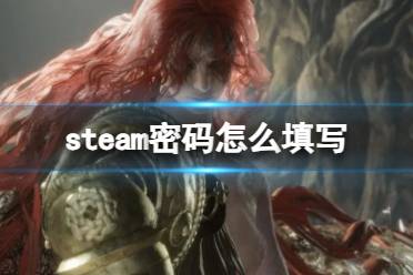 《steam》密码填写要求