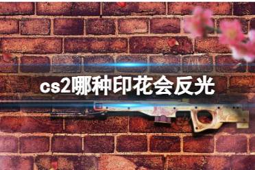 《cs2》会反光印花介绍