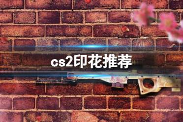 《cs2》印花推荐介绍