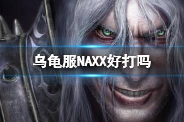 《魔兽世界》乌龟服NAXX副本介绍