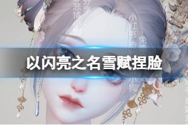 《以闪亮之名》雪赋捏脸 雪赋官方捏脸数据id