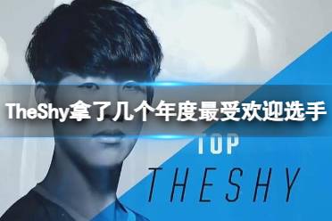 《英雄联盟》TheShy获得年度最受欢迎选手介绍