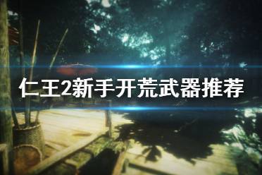 《仁王2》新手开荒武器推荐