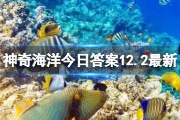 以下哪种蟹被称为海滩上的清道夫 神奇海洋12月6日答案