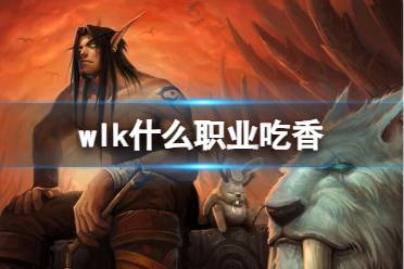 《魔兽世界》wlk吃香职业推荐