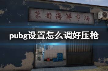 《pubg》压枪设置推荐