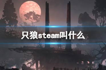 《只狼》steam名字介绍