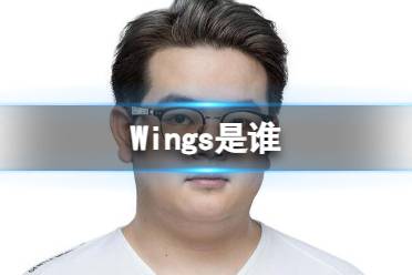 《英雄联盟》Wings选手介绍