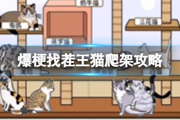 爆梗找茬王猫爬架攻略